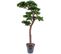 Plante artificielle haute gamme Spécial extérieur / PIN artificiel BONSAI UV - Dim : 220 x 120 cm