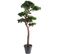 Plante artificielle haute gamme Spécial extérieur / PIN artificiel BONSAI UV - Dim : 220 x 120 cm