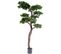 Plante artificielle haute gamme Spécial extérieur / PIN artificiel BONSAI UV - Dim : 220 x 120 cm