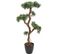 Plante artificielle haute gamme Spécial extérieur / Podocarpus artificiel - Dim : 135 x 80 cm