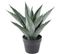 Plante artificielle haute gamme Spécial extérieur / AGAVE artificielle - Dim : 43 x 45 cm