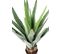Plante artificielle haute gamme Spécial extérieur / FURCRAEA Artificiel - Dim : 80 x 60 cm