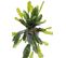 Plante artificielle haute gamme Spécial extérieur / Epiphyllum artificiel - Dim : 50 x 25 cm