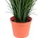 Plante artificielle haute gamme Spécial extérieur / Herbe artificielle - Dim : 60 x 15 cm