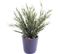 Plante artificielle haute gamme Spécial extérieur / Podocarpus artificiel - Dim : 45 x 30 cm