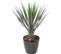 Plante artificielle haute gamme Spécial extérieur / YUCCA Artificiel - Dim : 60 x 40 cm