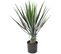 Plante artificielle haute gamme Spécial extérieur / YUCCA Artificiel - Dim : 60 x 40 cm