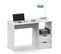 Bureau 2 Tiroirs Coloris Blanc - H. 76 X L. 115 X P. 50 Cm