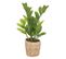 Zamioculcas Artificiel Avec Pot Naturel - Hauteur 41 Cm - Vert