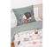 Housse De Couette + 1 Taie D'oreiller 140 X 200 Cm Coton 57 Fils Polisson