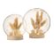 Dome Botanique Bois Clair Verre 15x15x16cm