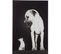 Tableau Chiens Blanc Verre 81x2,5x120,5cm