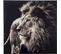 Tableau Lion Gris Verre 101,56x2,5x100,5cm