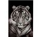 Tableau Tigre Blanc Verre 100x2x150cm