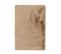 Tapis De Bain Lapin 425 50 X 90 Cm Beige