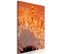 Tableau Pissenlit D'automne (1 Partie) Vertical 60 X 90 Cm Orange