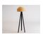 Lampadaire Flete Rotin Noir 50 X 50 X 30 Cm