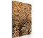 Tableau Mysterious Fern Vertical 40 X 60 Cm Marron