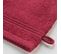 Lot De 2 Gants De Toilette 15 X 21 Cm Tendresse Rouge