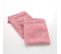 Lot De 2 Gants De Toilette 15 X 21 Cm Tendresse Rose