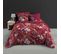 Housse Couette + Taies Percale 220 X 240 Cm Farandole De Fleurs