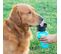 Bouteille Abreuvoir Pour Chiens