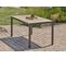 Table De Jardin En Alu Anthracite Plateau En Polywood Imitation Bois - Boston