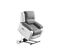 Relaxxo - Fauteuil De Relaxation Releveur Électrique 1 Place Microfibre / Simili Leo - Blanc Et Gris