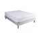 Protège Matelas Coton Bio Molleton Bonnet 40 160x200