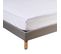 Protège Matelas Anti-acariens Imperméable Bonnet 27 70x190