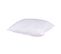 Pack Couette Mi-saison + Oreillers Anti-punaise / Anti-insecte Moelleux Enveloppe Microfibre 240x220