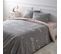 Parure De Lit Cama Gris 240x220