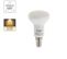 Ampoule LED Ampoule R50, Culot E14, 6w Cons. (40w Eq.), Lumière Blanc Chaud