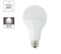Ampoule LED A70, Culot E27, 15w Cons. (100w Eq.), Lumière Blanc Froid