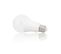 Ampoule LED A70, Culot E27, 15w Cons. (100w Eq.), Lumière Blanc Froid