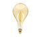 Ampoule XXL LED VINTAGE 