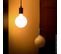 Ampoule LED G125 Opaque, Culot E27, Conso. 17w, 2452 Lumens, Blanc Chaud