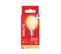 Ampoule LED Globe E14  Bland chaud