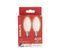 Lot 2 ampoules LED Flamme E14 XANLITE HOME Blanc froid