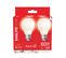 Lot 2 ampoules LED A60 E27 XANLITE HOME Blanc froid