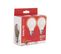 Lot 2 ampoules LED A60 E27 XANLITE HOME Blanc froid