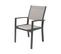 Fauteuil Jardin Alu/textilène "tropic" - Phoenix - Taupe - Lot De 2