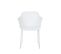 Tango - Lot De 2 Fauteuils De Table En Plastique Et Métal - Couleur - Blanc