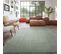 Diego Iv - Tapis Lavable En Machine - Couleur - Vert, Dimensions - 140x200 Cm