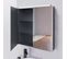 Armoire Miroir LED Mirbox - 60 Cm