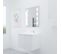 Meuble Proline 70 Cm Avec Plan Vasque Et Miroir Prestige- Blanc