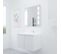 Meuble Proline 80 Cm Avec Plan Vasque Et Miroir Prestige- Blanc