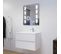 Meuble Salle De Bain 80 Cm Rosaly Avec Plan Vasque Et Miroir Excellence- Blanc- Résine