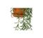 Plantes Artificielles En Pot Terracotta (lot De 3)
