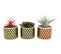 Plantes Succulentes Artificielles Cubic (lot De 3)